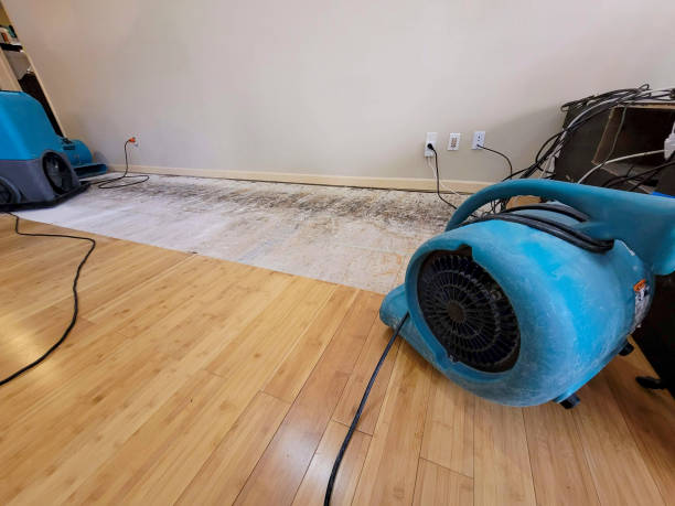 Reliable Basement Flood Cleanup contractor in Burlingame, CA by Hirex Water Damage