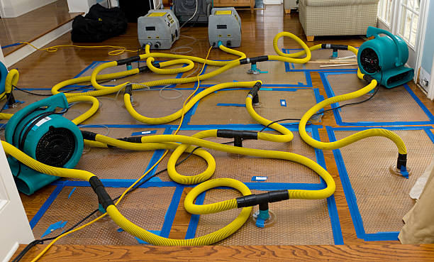 Professional Basement Flood Cleanup technician working in Burlingame, CA